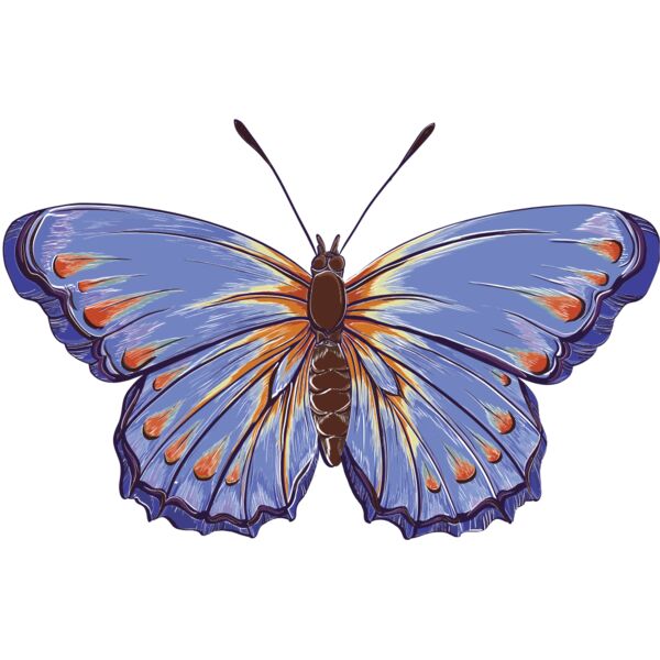 butterfly 3 Thumbnail