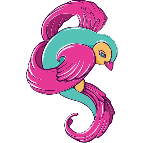 colorful birds 5 Thumbnail