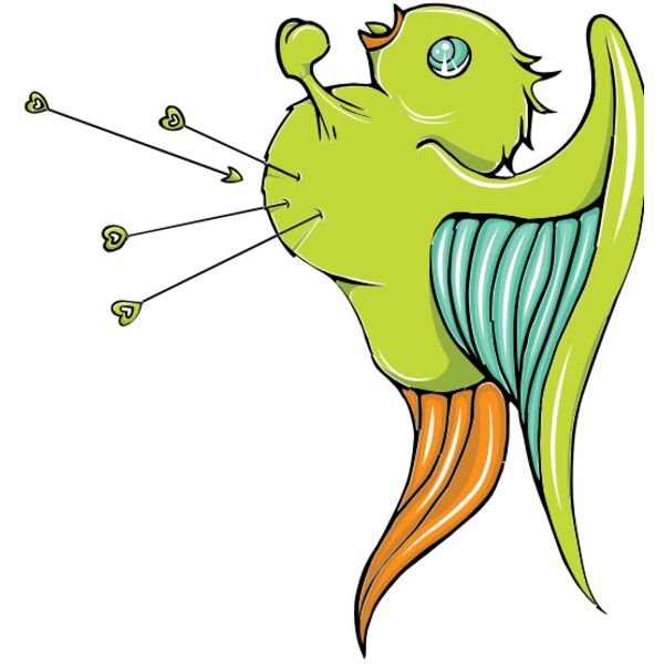 colorful birds 10 Thumbnail