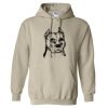 Heavy Blend™ Hooded Sweatshirt Thumbnail