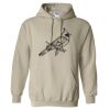 Heavy Blend™ Hooded Sweatshirt Thumbnail