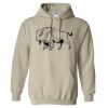 Heavy Blend™ Hooded Sweatshirt Thumbnail