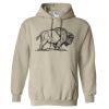 Heavy Blend™ Hooded Sweatshirt Thumbnail