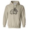 Heavy Blend™ Hooded Sweatshirt Thumbnail