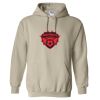 Heavy Blend™ Hooded Sweatshirt Thumbnail
