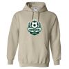 Heavy Blend™ Hooded Sweatshirt Thumbnail