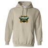Heavy Blend™ Hooded Sweatshirt Thumbnail