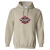 Heavy Blend™ Hooded Sweatshirt Thumbnail
