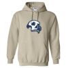 Heavy Blend™ Hooded Sweatshirt Thumbnail
