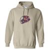 Heavy Blend™ Hooded Sweatshirt Thumbnail