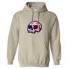 Heavy Blend™ Hooded Sweatshirt Thumbnail