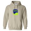 Heavy Blend™ Hooded Sweatshirt Thumbnail