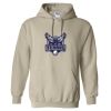 Heavy Blend™ Hooded Sweatshirt Thumbnail