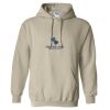 Heavy Blend™ Hooded Sweatshirt Thumbnail