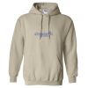Heavy Blend™ Hooded Sweatshirt Thumbnail