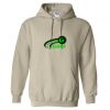 Heavy Blend™ Hooded Sweatshirt Thumbnail