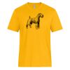 RING SPUN COTTON TEE Thumbnail